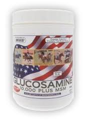 Glucosamine For Horses