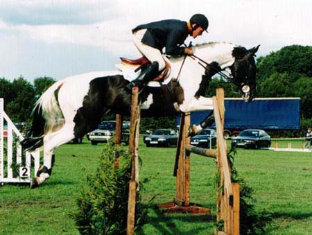 Coloured Stallion - High Offley Elew