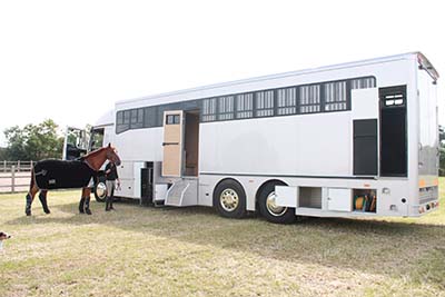 Courchevel Horseboxes                                                                               