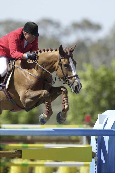 Ludo Philippaerts                                                               