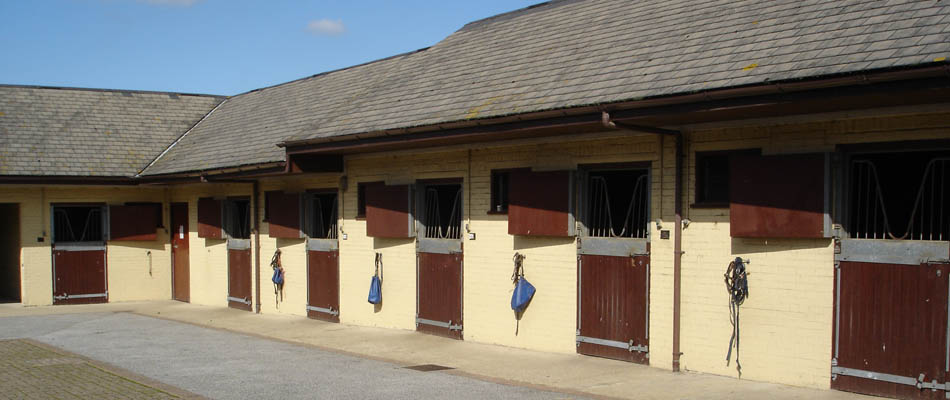 Equine Yard