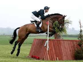 William Fox-Pitt                                                                