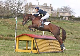 William Fox-Pitt                                                                