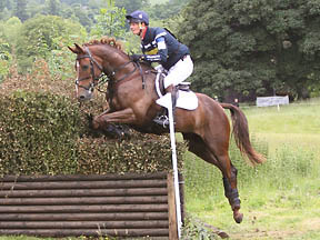 William Fox-Pitt                                                                