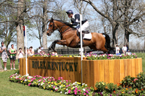 William Fox-Pitt                                                                