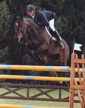 International Showjumper - Gentle Breeze