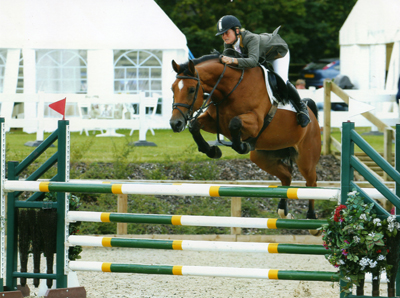Show Jumping Horses For Sale