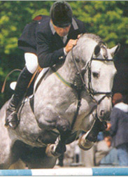 Ludo Philippaerts                                                               