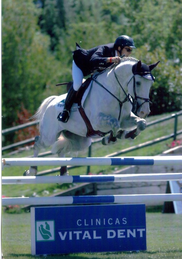 Ringfort Cruise Irish Stallion                                                                                                                                                                                                                                 