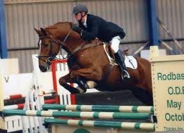 Eventing Horse Competing Succefully