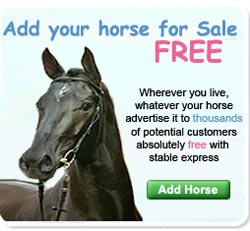 Para Dressage Horses For Sale